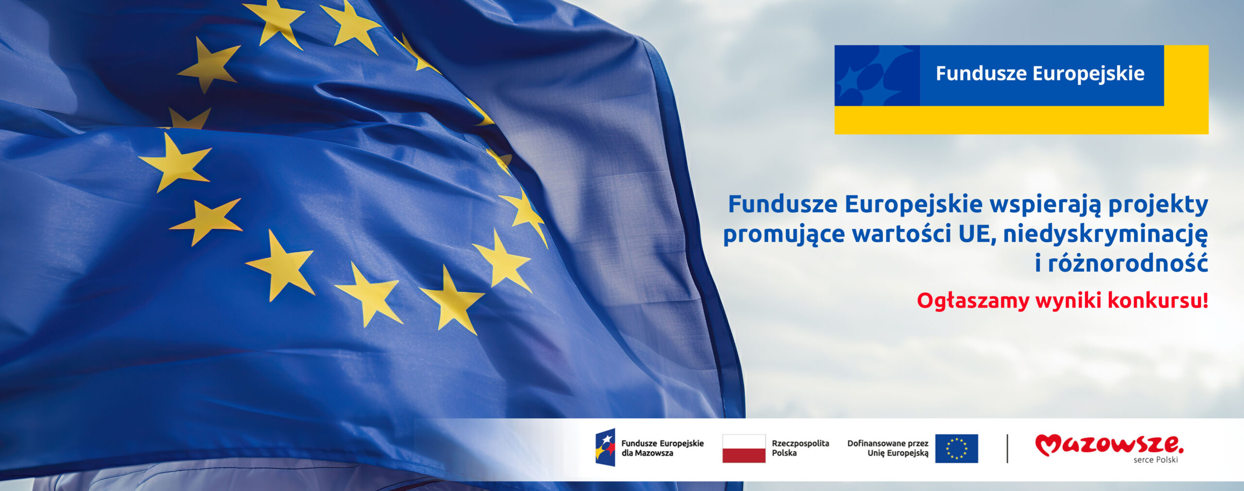 Wyniki konkursów na promocję wartości UE, niedyskryminację i zarządzanie różnorodnością