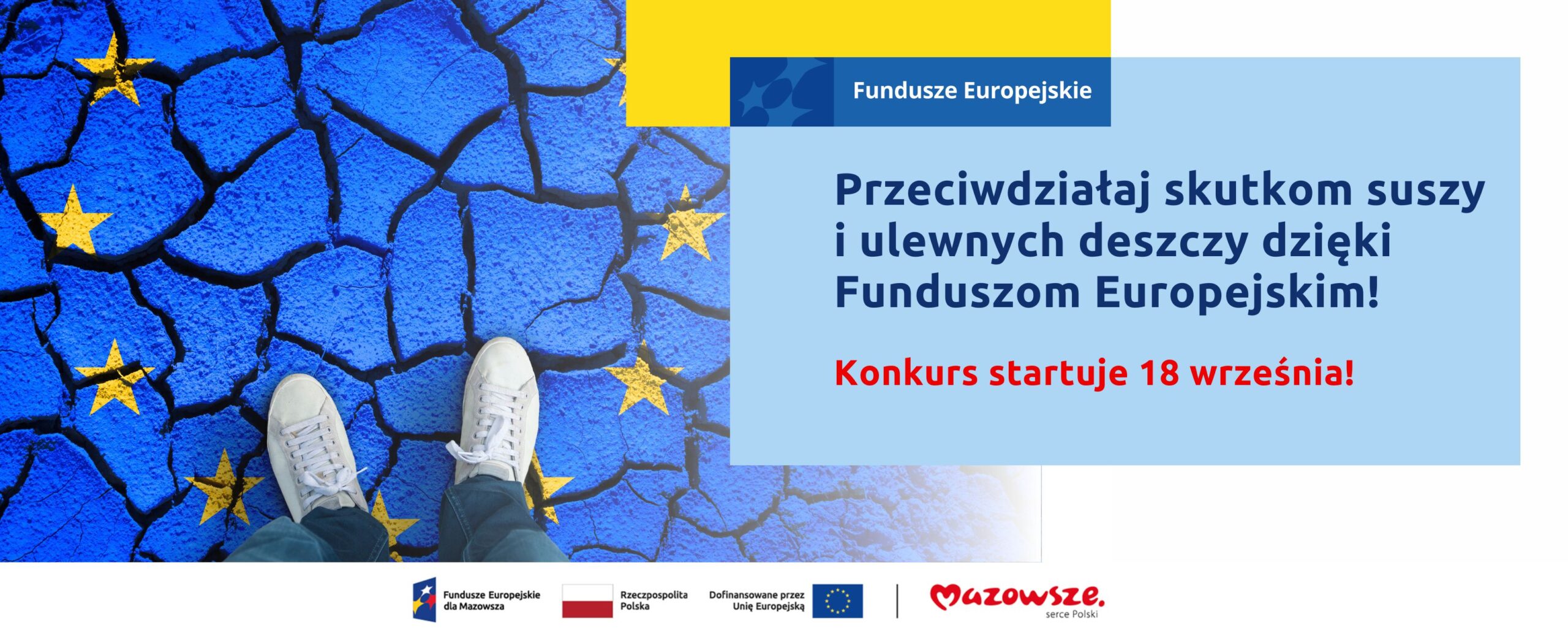 Już 18 września rusza konkurs na dofinansowanie zielonych i błękitnych inwestycji na Mazowszu.