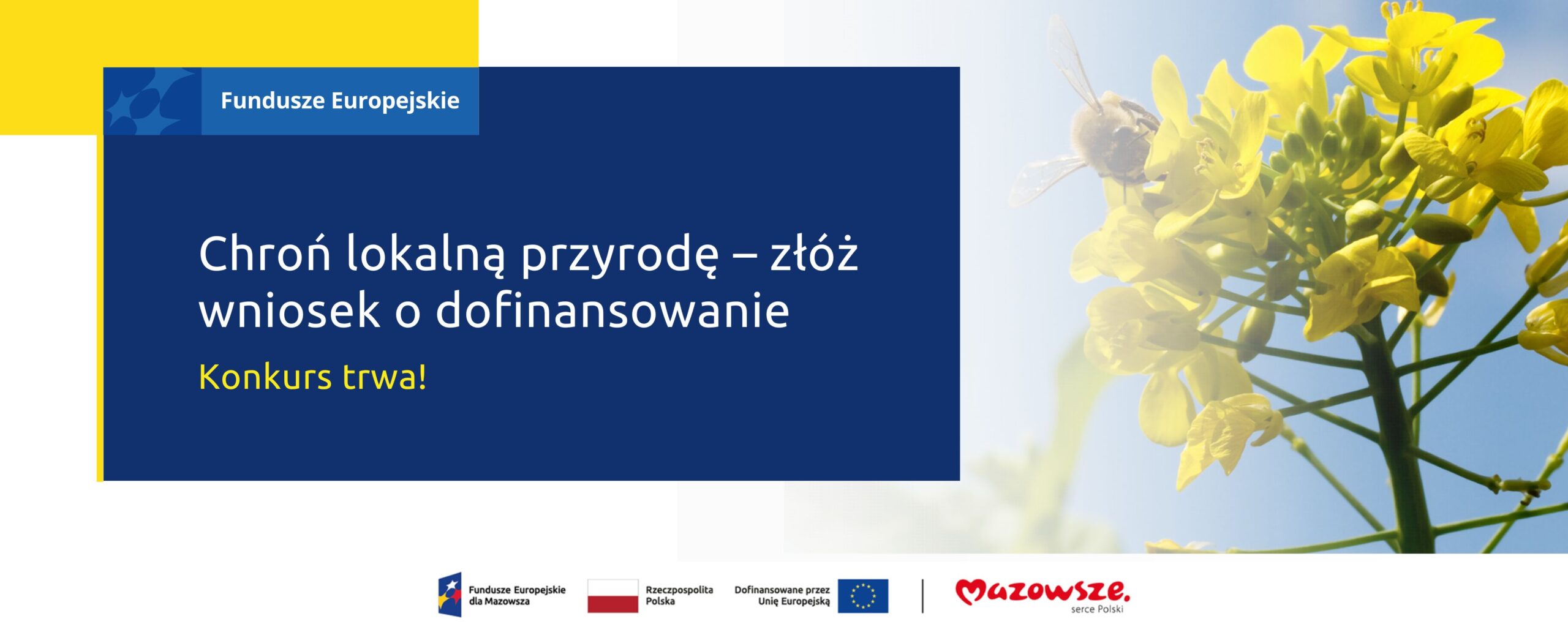 Przywróć naturze głos! Ruszył konkurs na ochronę bioróżnorodności