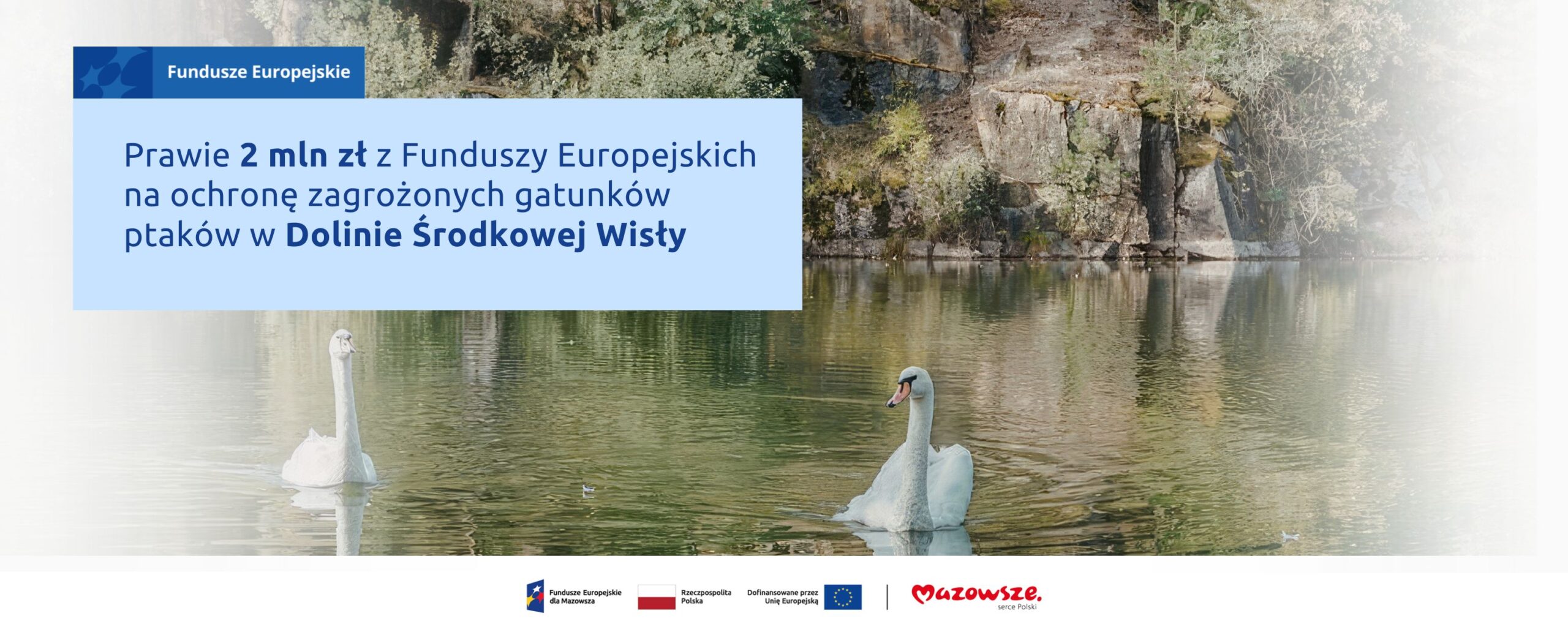 UE wspiera ochronę zagrożonych gatunków ptaków