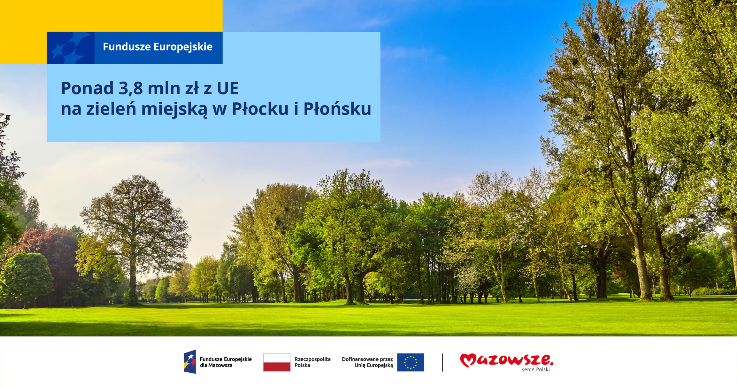 Ponad 3,8 mln zł z UE na zieleń miejską w Płocku i Płońsku